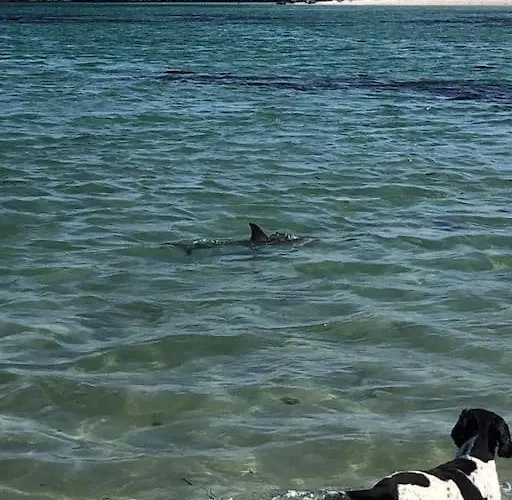 Townhouse Clifden: Located In The Heart Of Connemara *